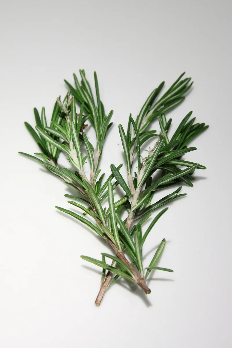 rosemary, spices, cooking