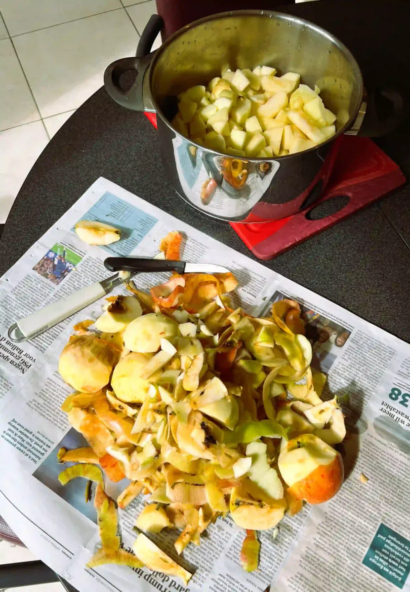 Making and freezing applesauce