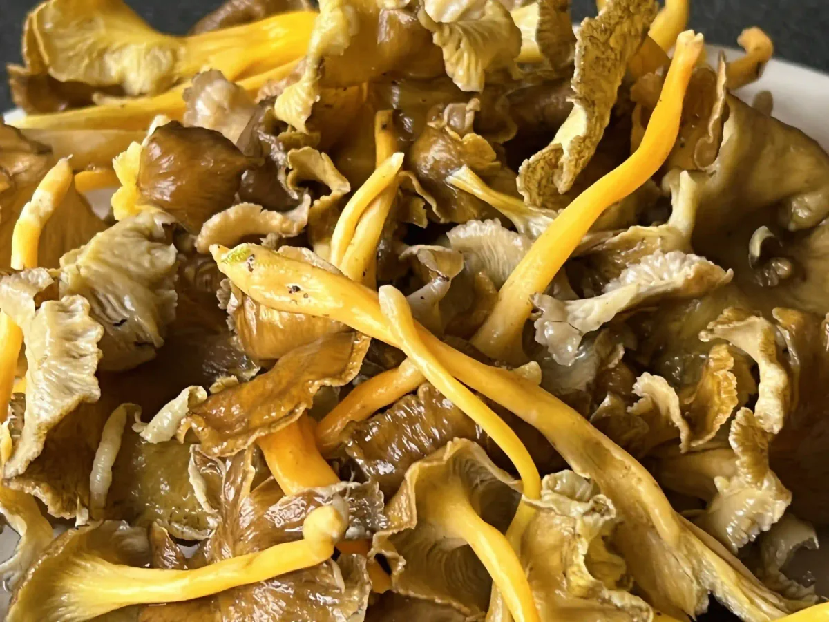 A bowl of fresh mushrooms.