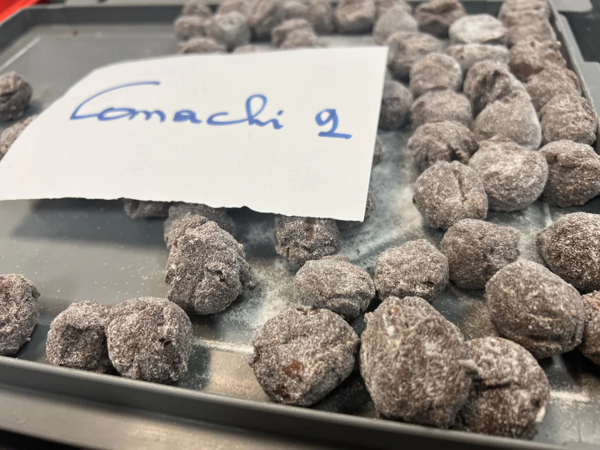 Vegan truffle - Comaschi 2