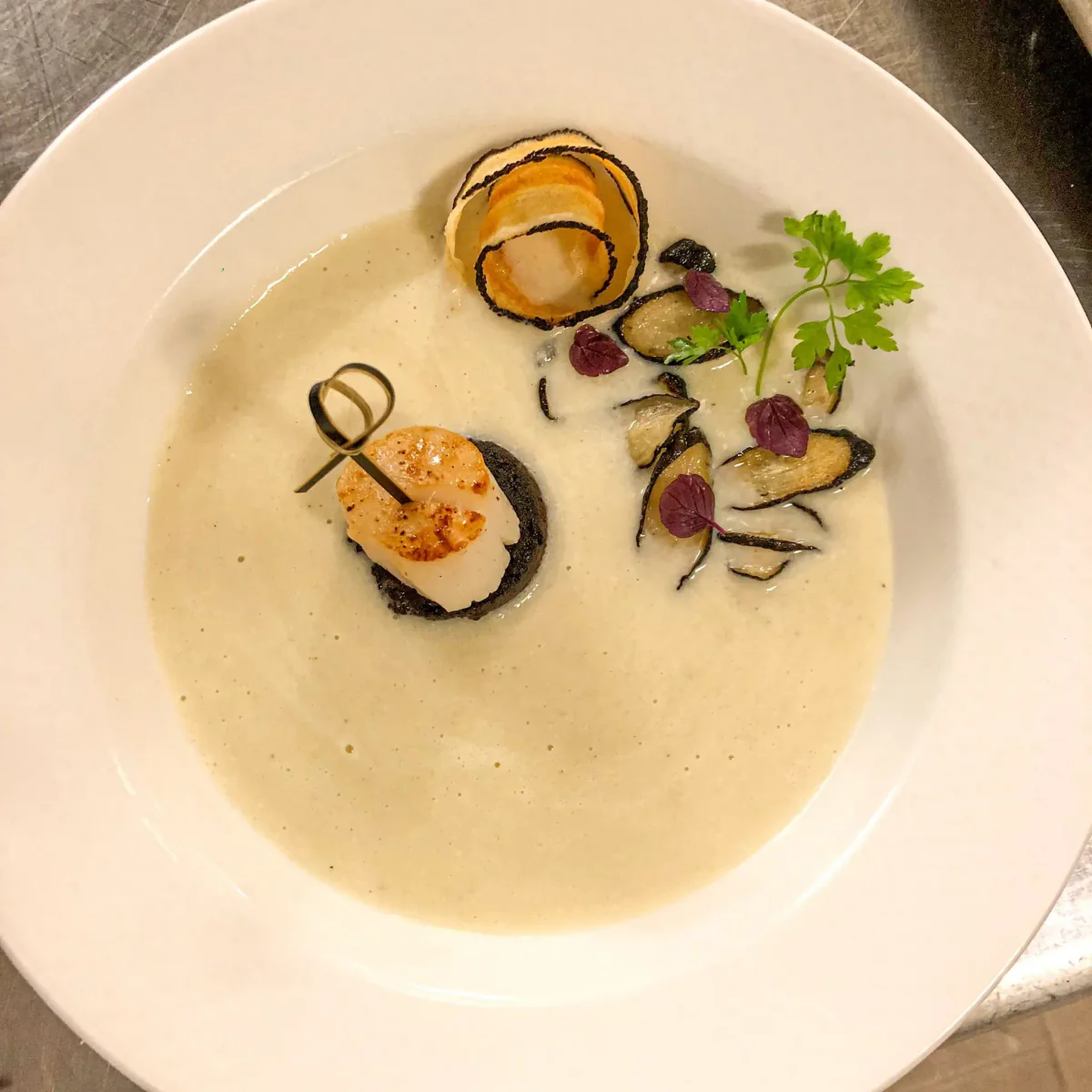Salsify soup with black pudding and a scallop