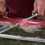 Prosciutto