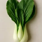 pak choi (Bok Choy)