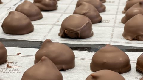 Tafel vol Melo Cakes met melk- en fondant chocolade