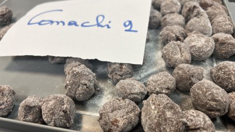 Vegan truffle – Comaschi 2