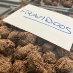 Vegan truffels met ganache van framboos