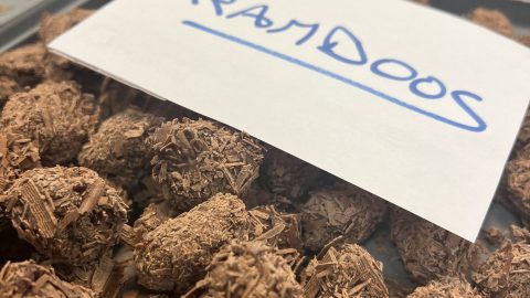 Vegan truffels met ganache van framboos