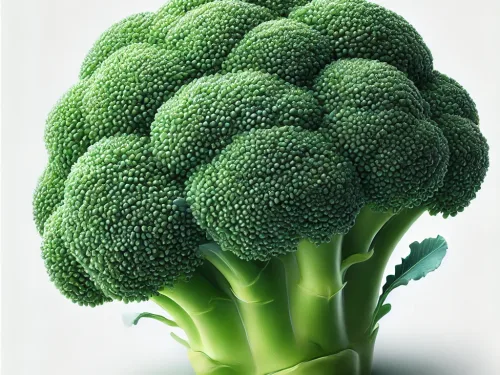 Broccoli