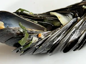 Coquilles de moules poussées l'une contre l'autre