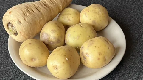 ingrediënten pastinaakpuree
