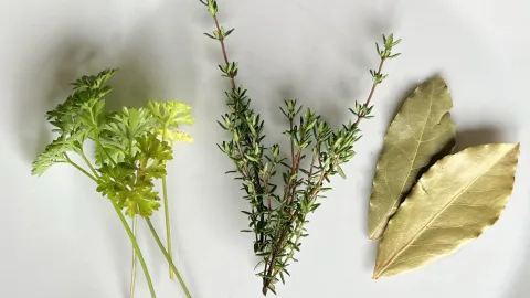 Bouquet garni - peterselie - tijm - laurier