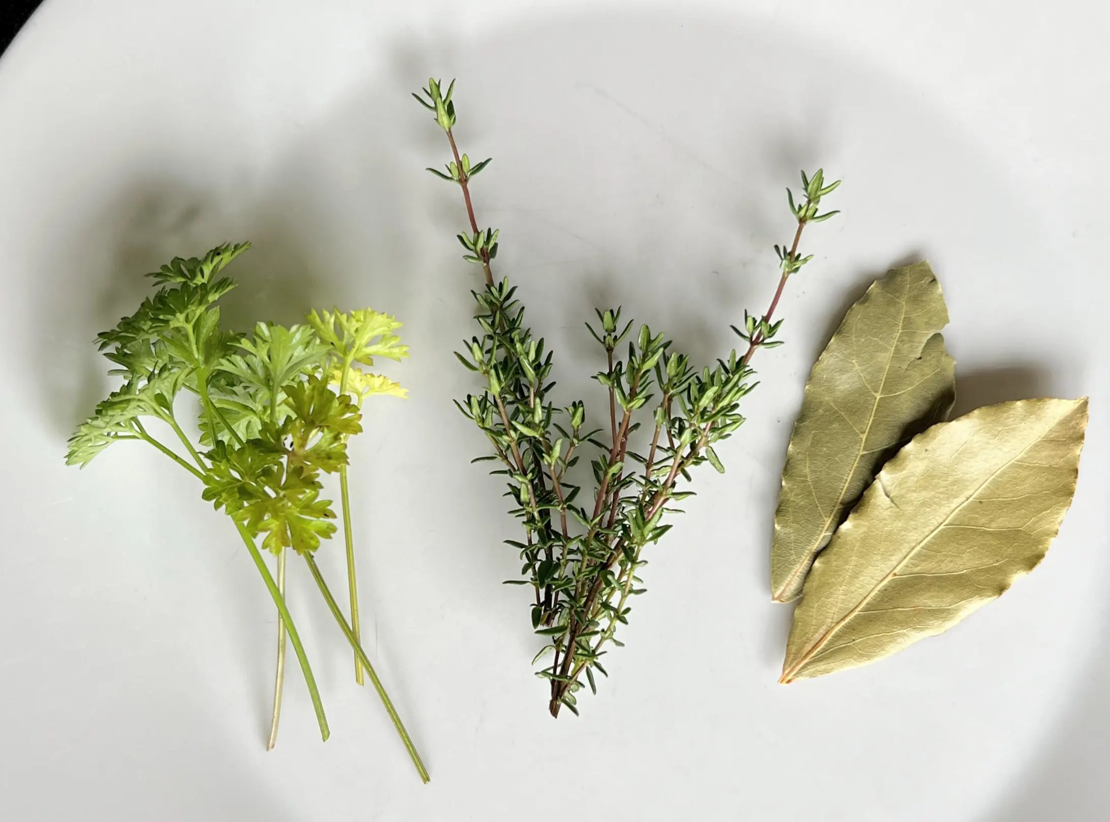 Bouquet garni - peterselie - tijm - laurier