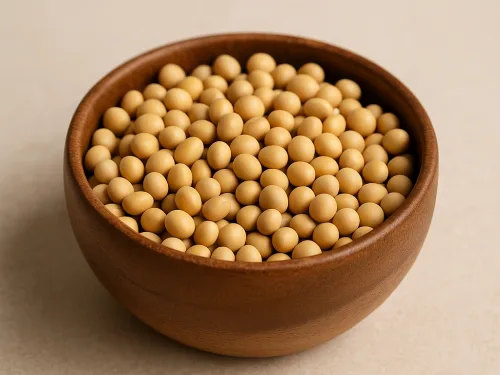 Droge sojabonen in een kom, basis voor miso, tofu en sojasaus