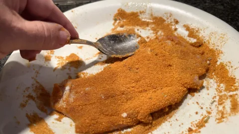 bord paneermeel met kippenfilet